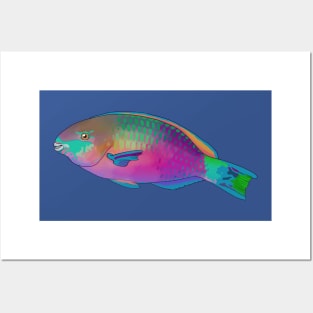 Parrotfish! Posters and Art